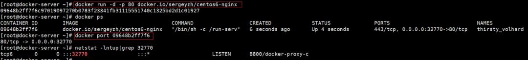 运维工程师必备！Docker 从入门到实战数据图表-heapdump性能社区