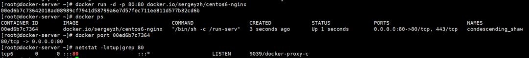 运维工程师必备！Docker 从入门到实战数据图表-heapdump性能社区