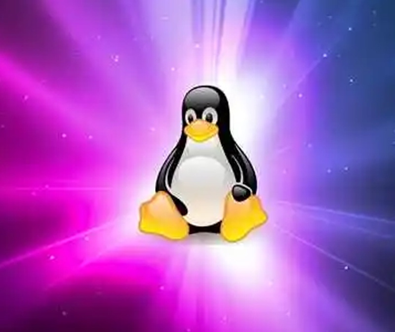 Linus 称 Rust For Linux 可能在 Linux 5.20 中实现