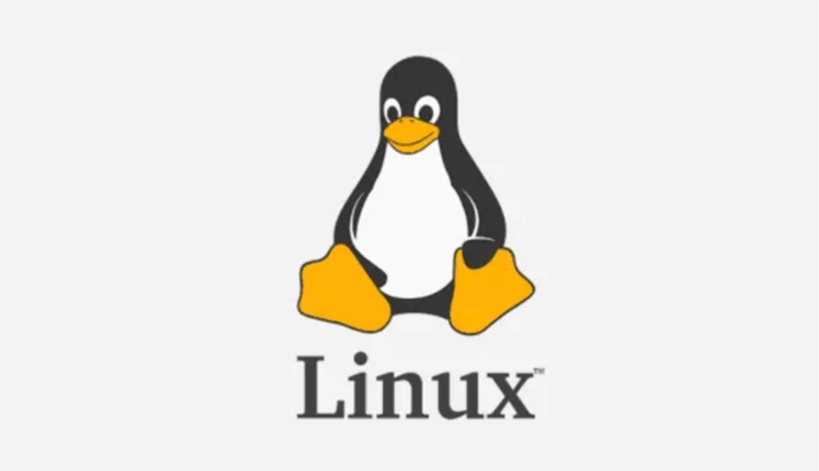 Linus Torvalds：Rust 将被合并到 Linux 6.1 主线
