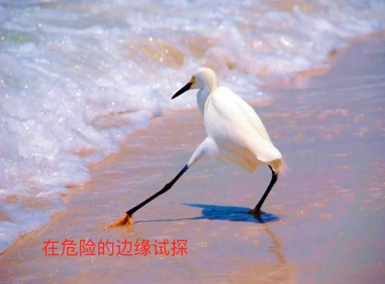 容量评估冒险：挑战极限，究竟要压到何种程度才能“摸到”最大容量？