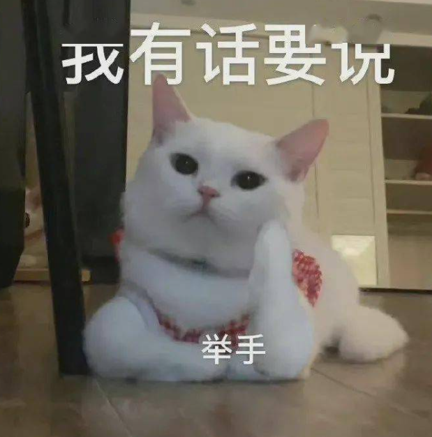 代表个人观点.png